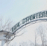 В Комсомольске-на-Амуре завершается подготовительный этап благоустройства парка "Строитель" - Правительство Хабаровского края