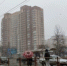 Пока вы спали: одно условие, плата за красивые номера, вопреки завещанию и мявки из склепа - AmurMedia.Ru