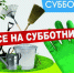 В г. Хабаровске организованы и проводятся субботники "Санитарные пятницы" - Комитет госстройнадзора